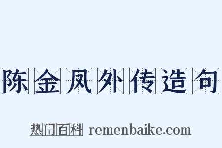 陈金凤外传造句是什么意思的图片
